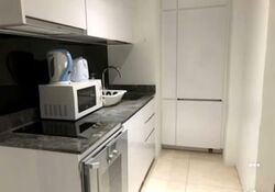 Robinson Suites (D1), Apartment #556656311
